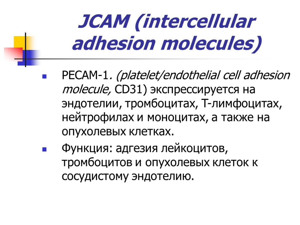 JCAM (intercellular adhesion molecules) PECAM-1. (platelet/endothelial cell adhesion molecule, СD31) экспрессируется на эндотелии, тромбоцитах,